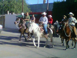  Guided horseback riding 